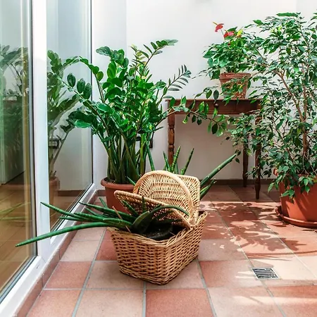 Castello Di Brusata Apartment By Quokka 360 - Romantic Flat With Pool